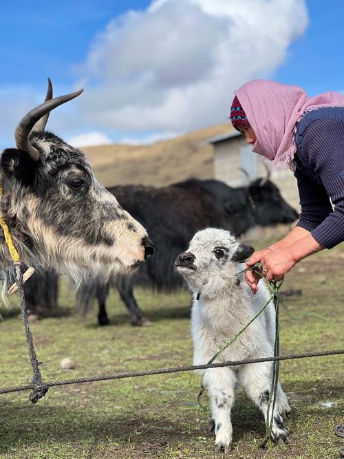 神舟十三号3名航天员见面会 神舟十三号3名航天员见面会