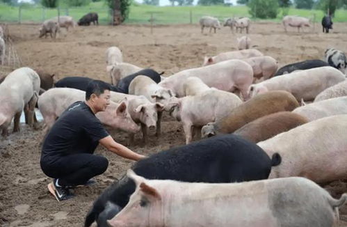 天秤11月运势 天枰座这个月的运势如何啊？