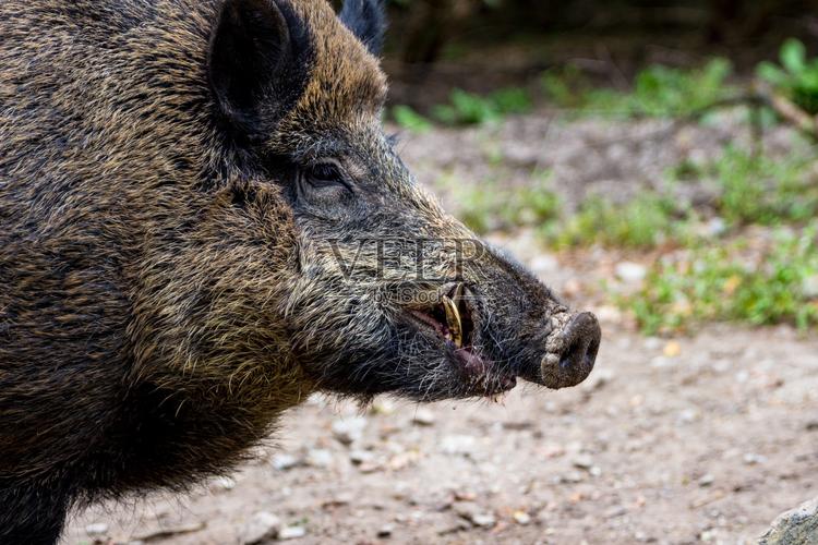 企业风水和法人的关系