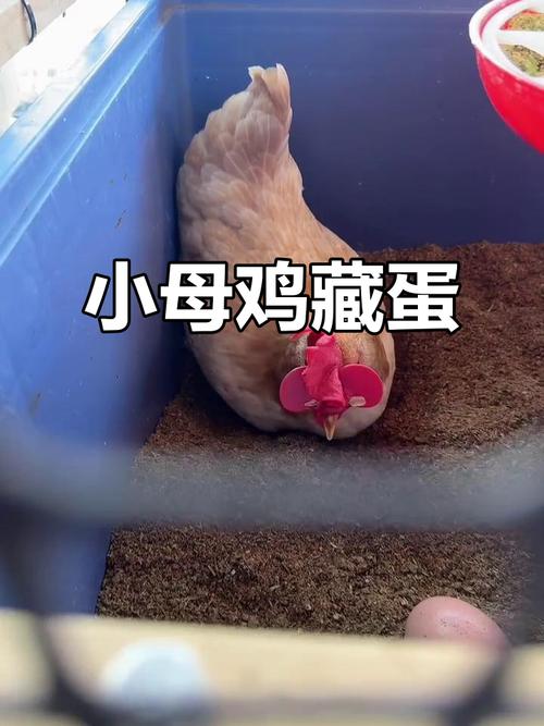 1996年多大岁数 1972年多大岁数 1996年多大岁数 1972年多大岁数