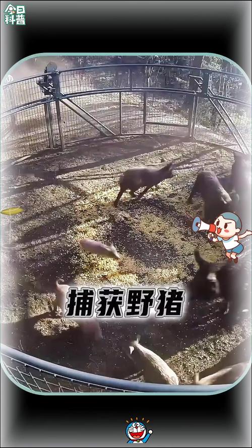 易森的八字命理(姓陈,男孩,八字喜木,求名字,谢谢 )