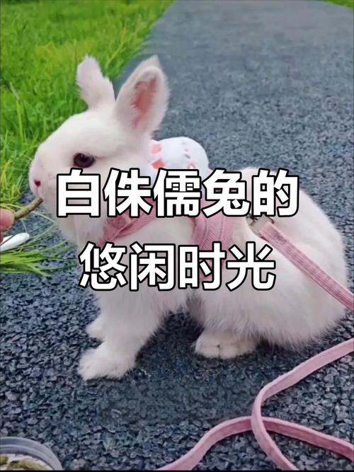 巨蟹女喜欢看什么新闻,巨蟹座女孩进★★★★★ 巨蟹女喜欢看什么新闻,巨蟹座女孩进★★★★★