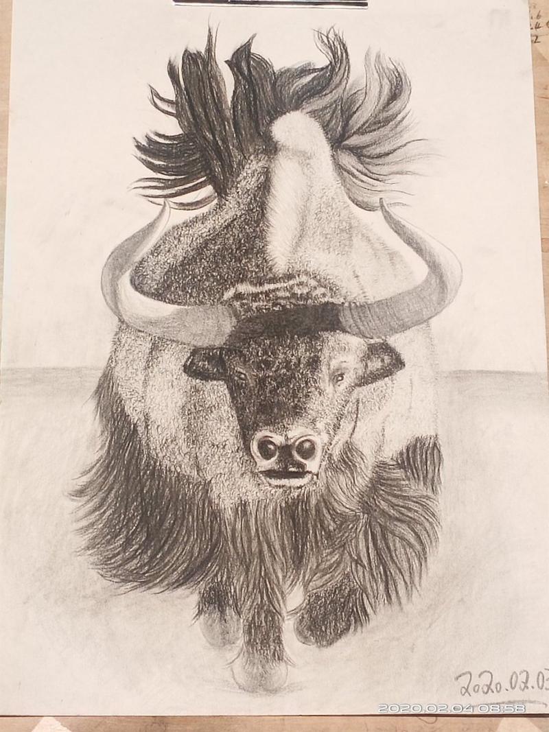 我的漫画老师作文五年级500字 15篇 (黄老师生辰八字) 我的漫画老师作文五年级500字 15篇 (黄老师生辰八字)