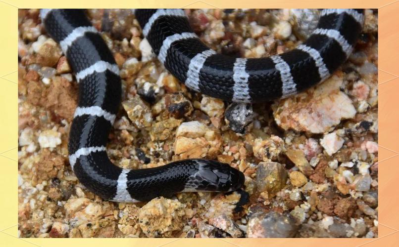 教育咨询公司起名大全是否真的能影响事业成功并引发分歧(教育咨询公司起名大全是否能助力事业成就成功的未来) 教育咨询公司起名大全是否真的能影响事业成功并引发分歧(教育咨询公司起名大全是否能助力事业成就成功的未来)