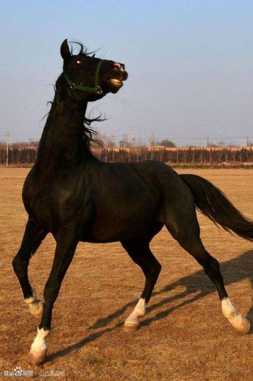 怎样才能增加财位,在办公室如何提升财位运势 怎样才能增加财位,在办公室如何提升财位运势