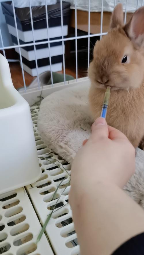 起名命里缺什么怎么看