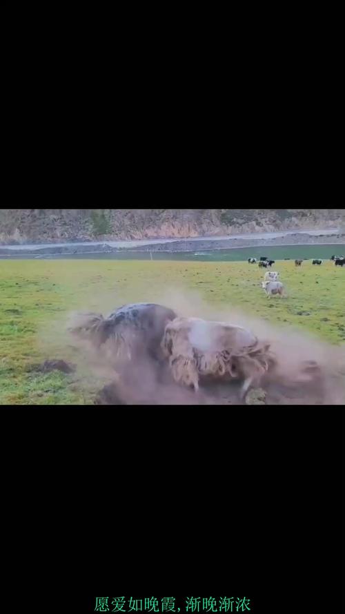 李佳诺姓名测试能否帮我找到幸福与成功的平衡吗(李佳诺姓名测试能否影响夫妻和谐与事业兴旺)