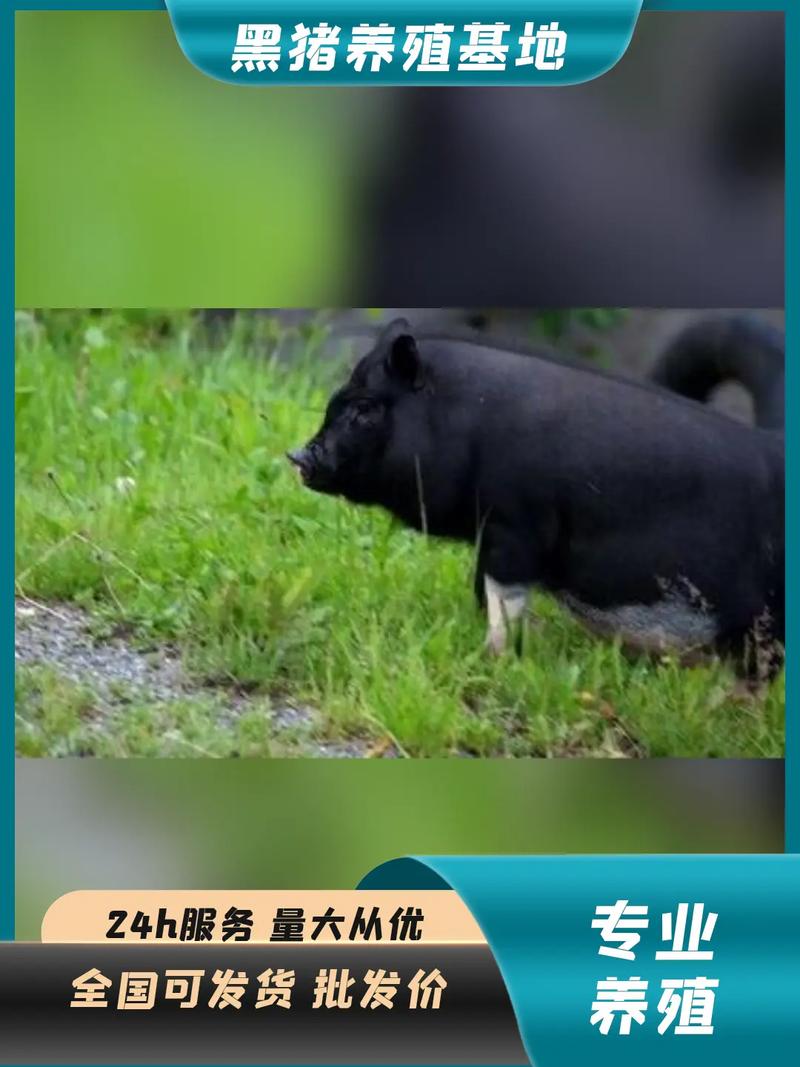 开福寺请本命佛多少钱（开福寺请本命佛多少钱啊）