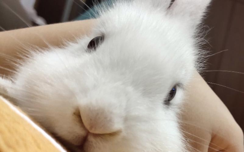 2022好听的女主角名字 小说女主角名字唯美2022