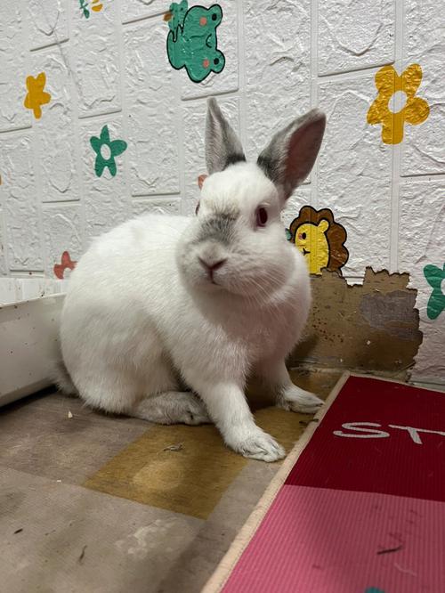 天蝎座8月份爱情运势2025 天蝎座2025年爱情运势