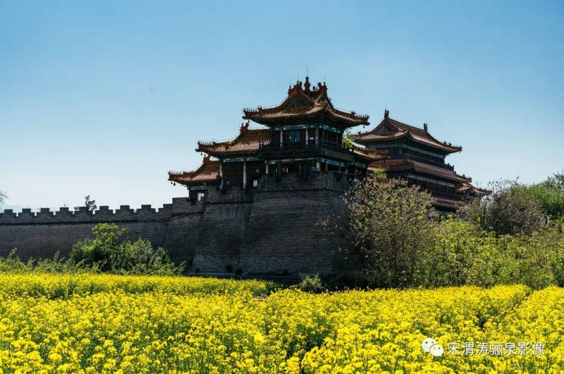 松柏木命是什么意思命好吗嫌风霹有损折之凶 松柏木命是什么意思命好吗嫌风霹有损折之凶