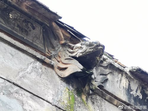 十二星座开运发型 十二星座开运发型