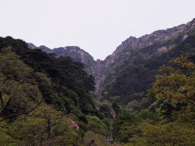 有关钊的男孩名字 中间带钊字的男孩名字