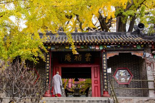 2025年属虎人的财运好吗